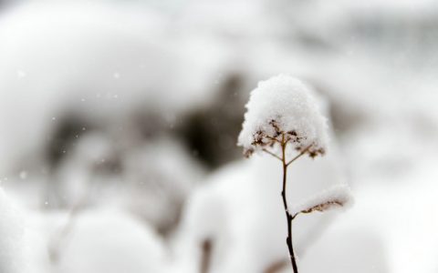 平反昭雪的故事